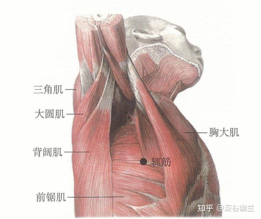鸡蛋滚一滚 竟能帮你缓解疼痛、抗炎、辅助祛湿？